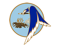 Anciens Élèves de l’École de l'Air (AEA)